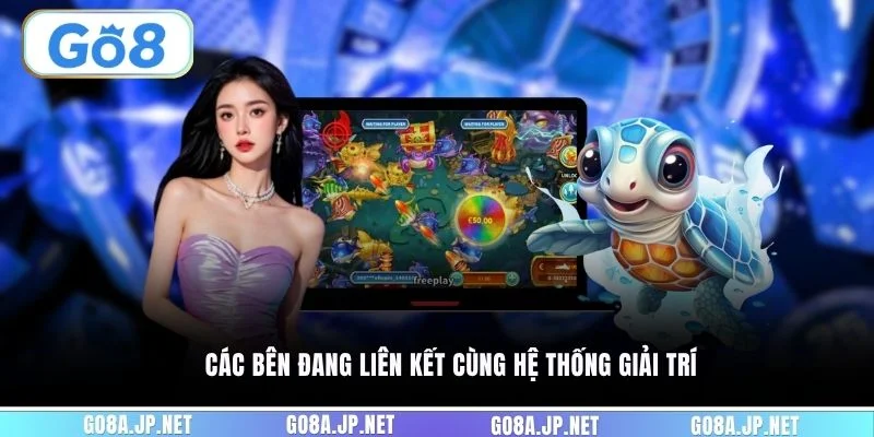 Các bên đang liên kết cùng hệ thống giải trí