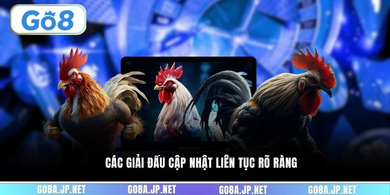 Các giải đấu cập nhật liên tục rõ ràng