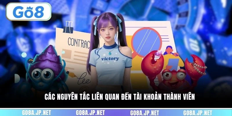 Các nguyên tắc liên quan đến tài khoản thành viên