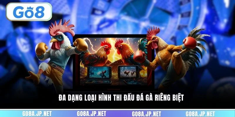 Đa dạng loại hình thi đấu đá gà riêng biệt
