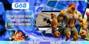 Đá gà trực tiếp SV368