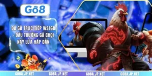 Đá gà trực tiếp WS168