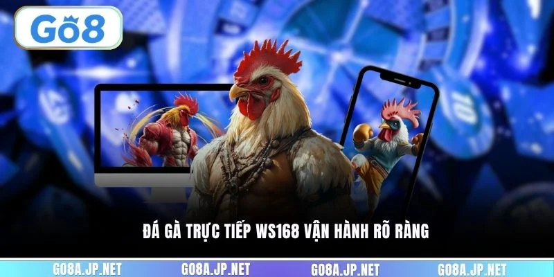 Đá gà trực tiếp WS168 vận hành rõ ràng