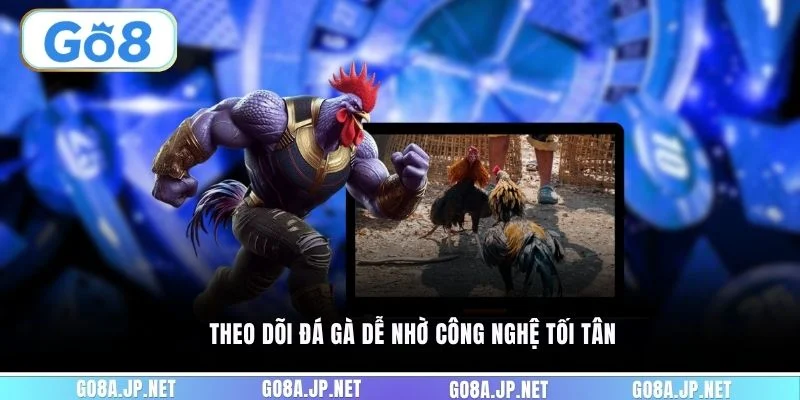 Theo dõi đá gà dễ nhờ công nghệ tối tân